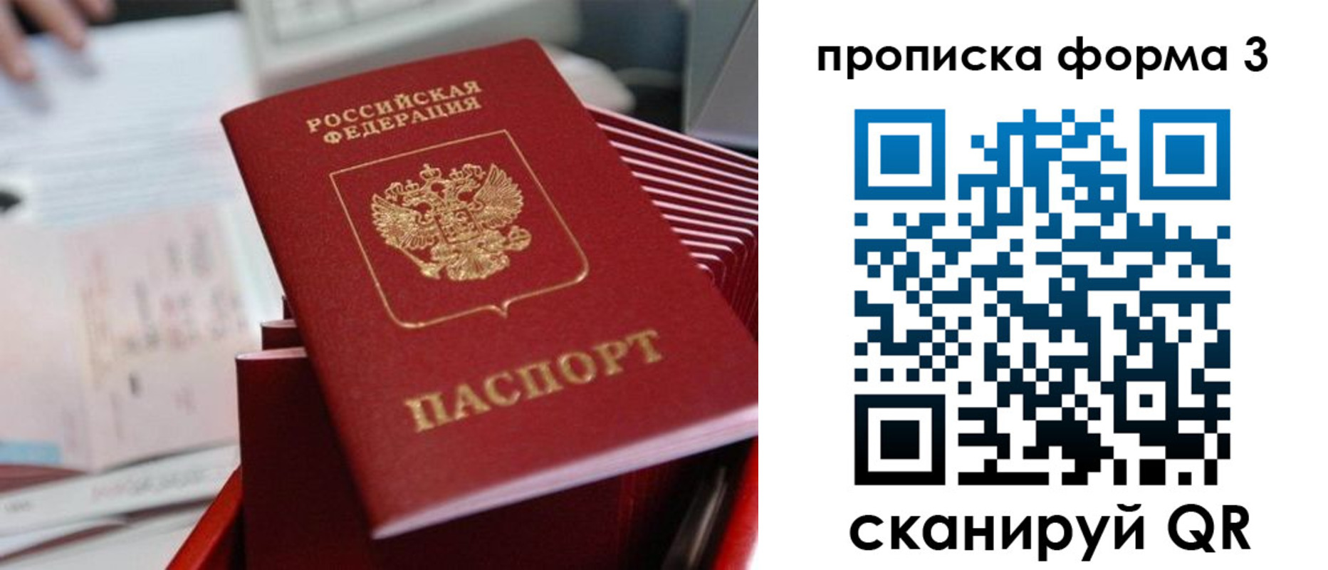 временная регистрация гарантия в Чкаловске
